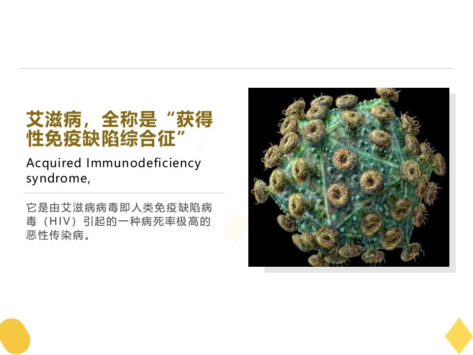 图片[2]-预防艾滋病-教务资料网