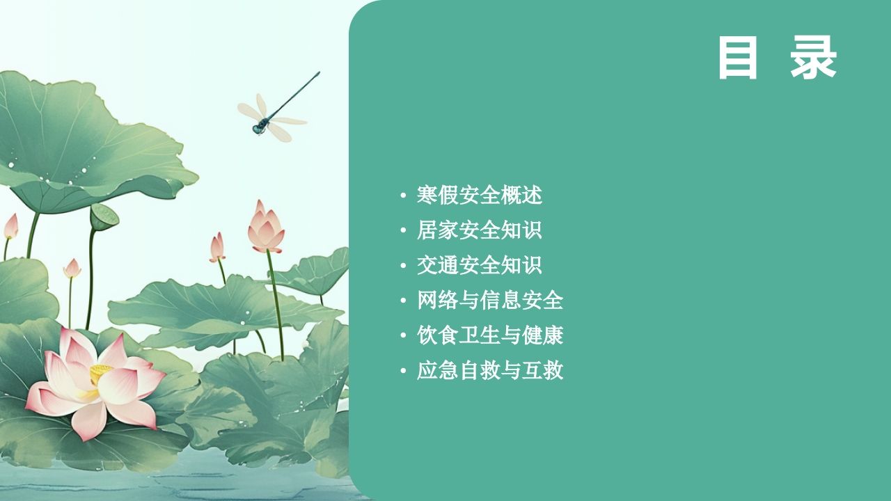 图片[2]-图解2025年寒假安全教育专题课件-教务资料网