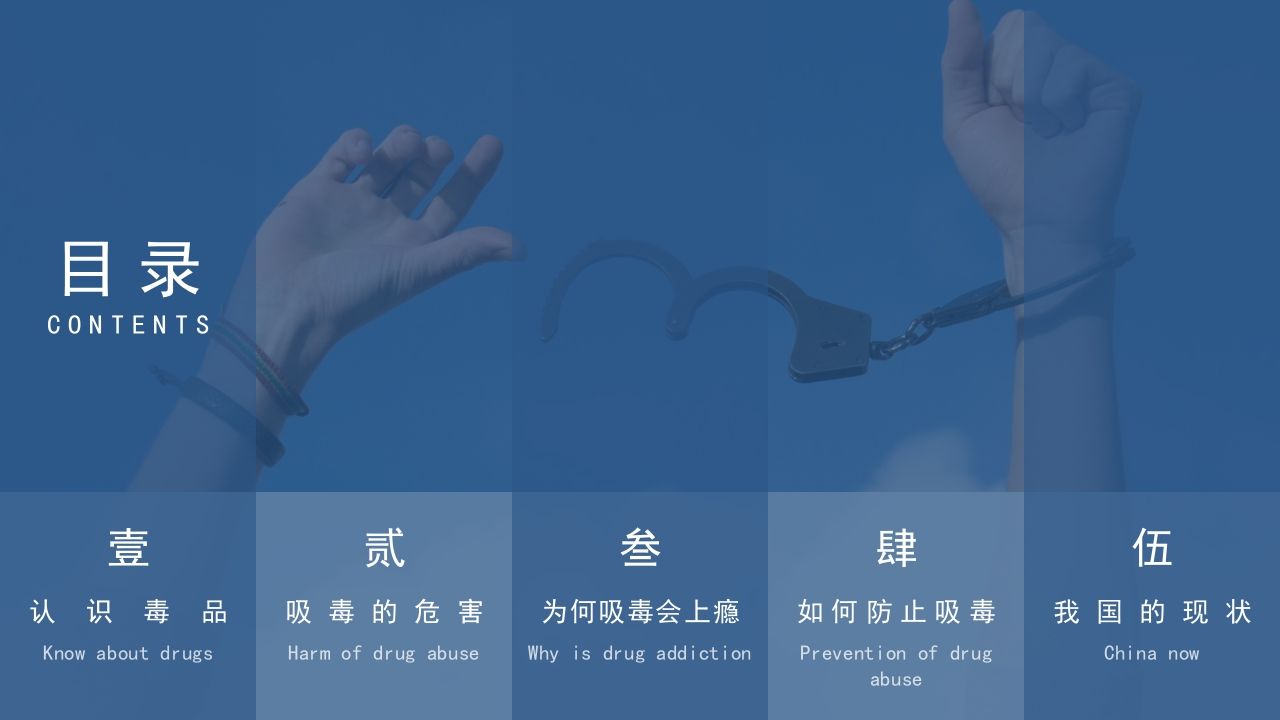图片[3]-1绿色成长·生命无毒-教务资料网