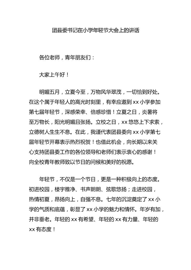 团县委书记在小学年轻节大会上的讲话-教务资料网
