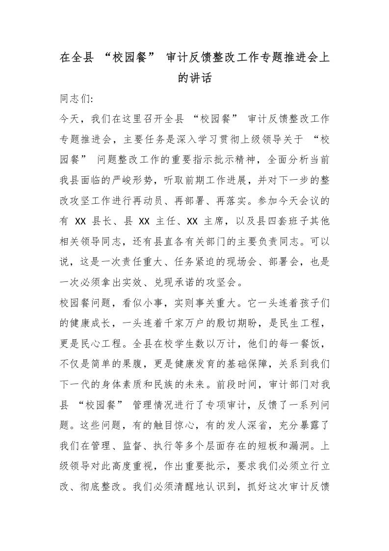在全县“校园餐”审计反馈整改工作专题推进会上的讲话-教务资料网