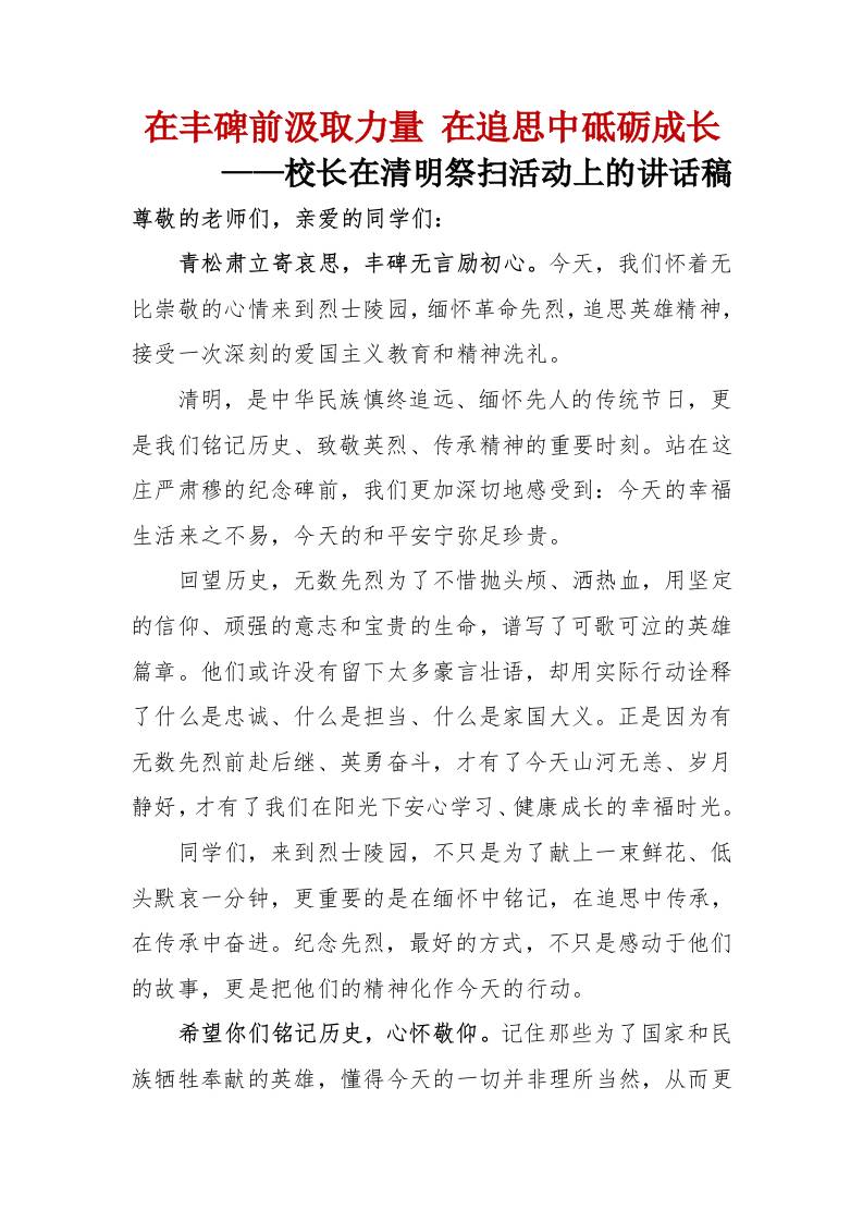 在丰碑前汲取力量在追思中砥砺成长——校长在清明祭扫活动上的讲话稿-教务资料网